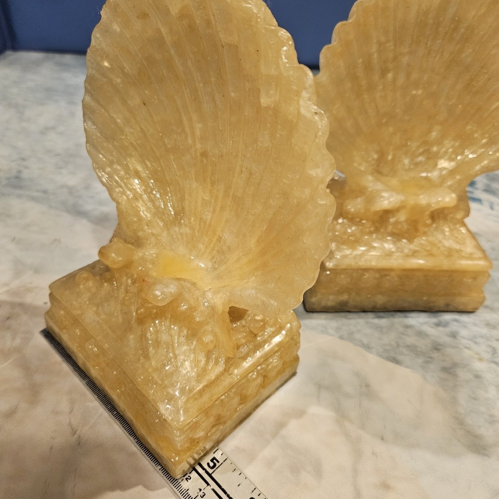 Clamshell Bookends Set - Picture 6 of 7